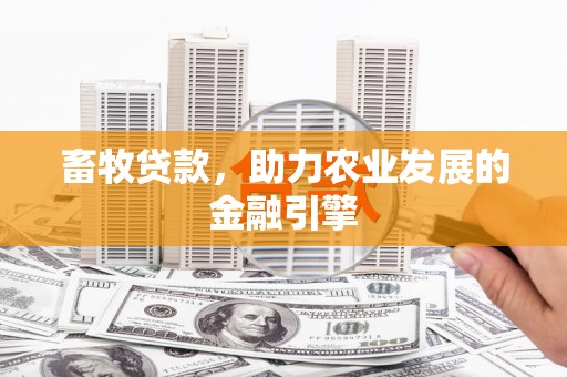 矿区畜牧贷款，助力农业发展的金融引擎