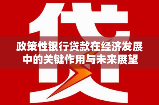 矿区政策性银行贷款在经济发展中的关键作用与未来展望