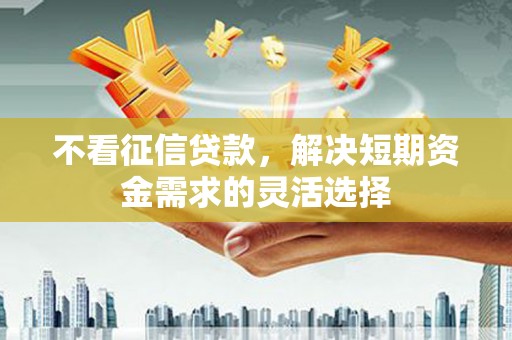 矿区不看征信贷款，解决短期资金需求的灵活选择