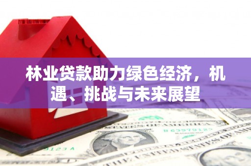 矿区林业贷款助力绿色经济，机遇、挑战与未来展望
