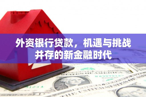 矿区外资银行贷款，机遇与挑战并存的新金融时代