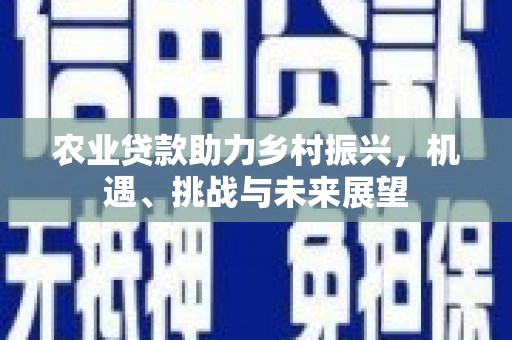 矿区农业贷款助力乡村振兴，机遇、挑战与未来展望