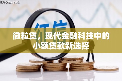矿区微粒贷，现代金融科技中的小额贷款新选择