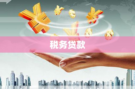 矿区税务贷款