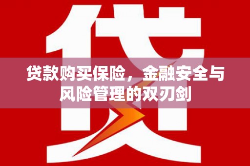 矿区贷款购买保险，金融安全与风险管理的双刃剑