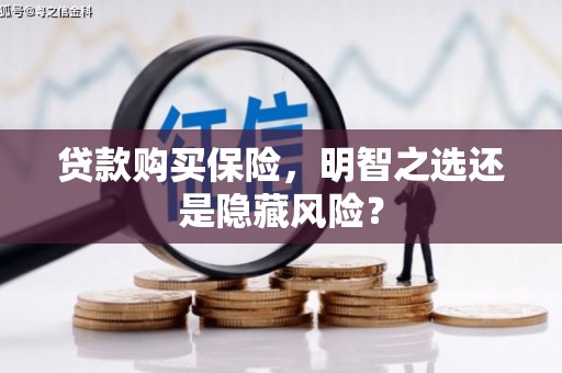 矿区贷款购买保险，明智之选还是隐藏风险？