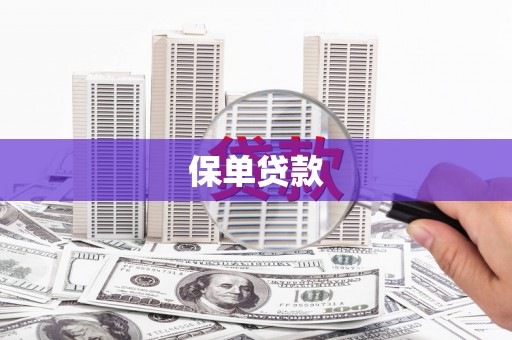 矿区保单贷款