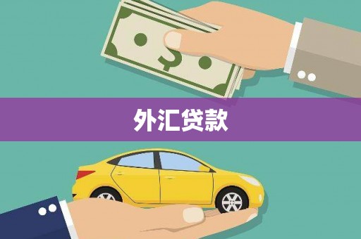 矿区外汇贷款