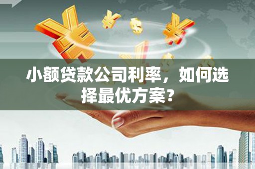 矿区小额贷款公司利率，如何选择最优方案？