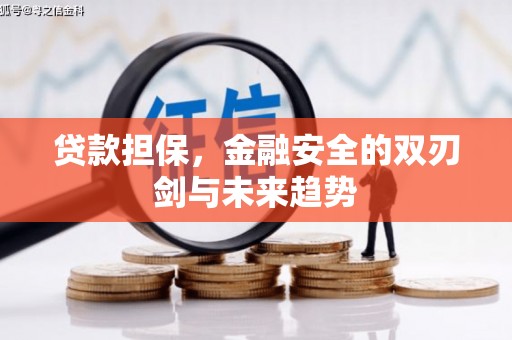 矿区贷款担保，金融安全的双刃剑与未来趋势