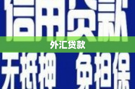 矿区外汇贷款