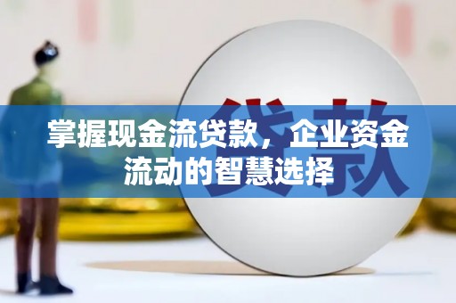 矿区掌握现金流贷款，企业资金流动的智慧选择