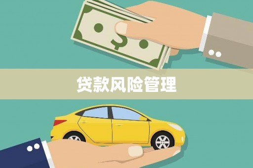 矿区贷款风险管理