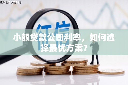矿区小额贷款公司利率，如何选择最优方案？