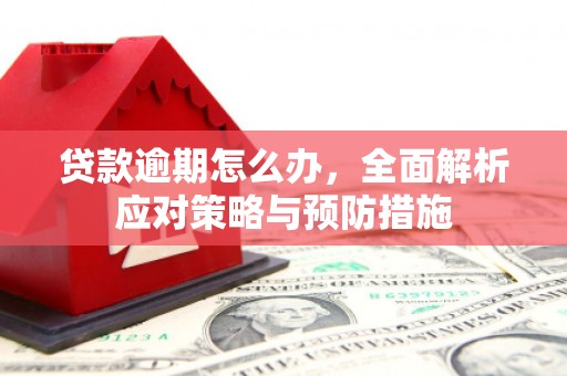 矿区贷款逾期怎么办，全面解析应对策略与预防措施