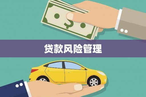 矿区贷款风险管理