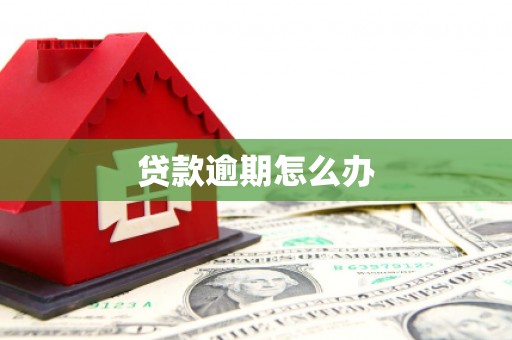 矿区贷款逾期怎么办