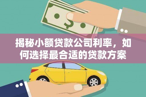 矿区揭秘小额贷款公司利率，如何选择最合适的贷款方案