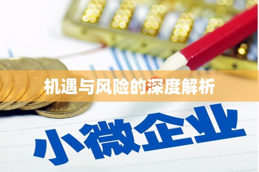 矿区机遇与风险的深度解析