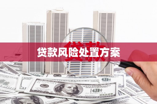 矿区贷款风险处置方案