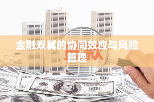 矿区金融双翼的协同效应与风险管理